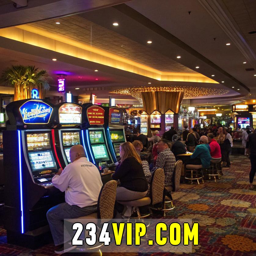  234vip