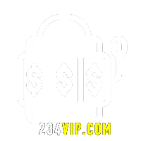  234vip